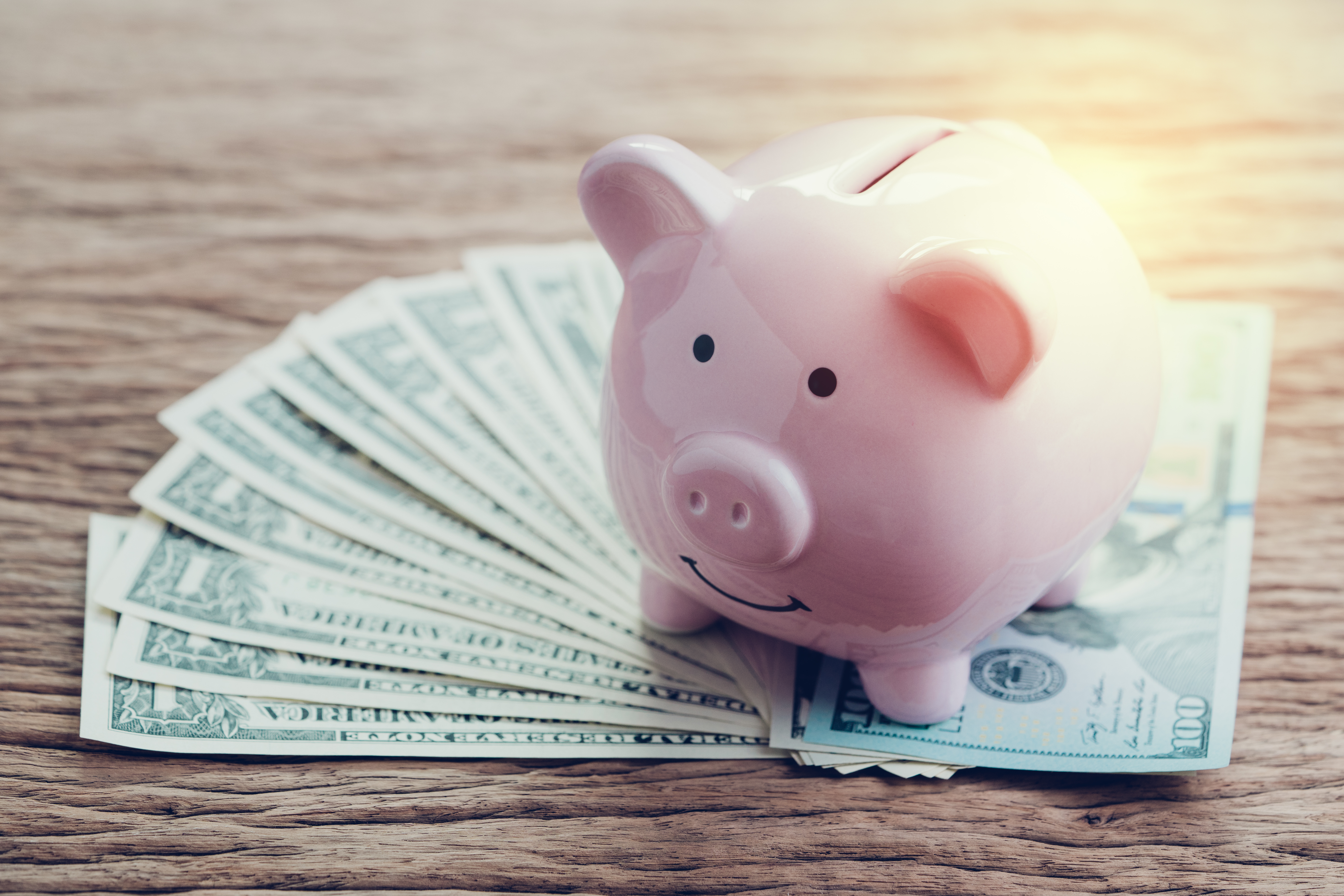 piggy bank piggy bank